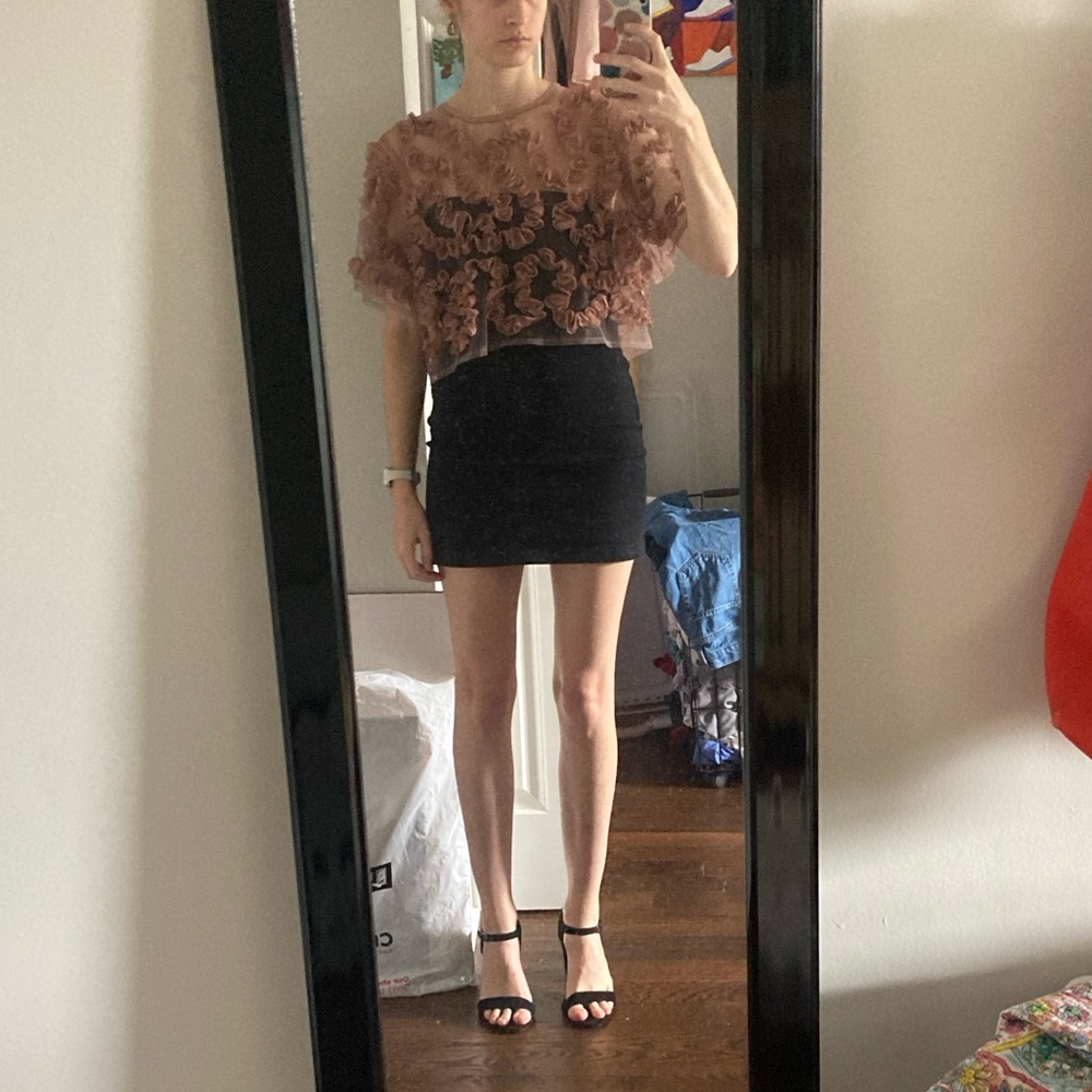 DONATED✖️ 
Ruffled Sheer Blouse - Picture 4 of 6